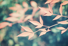 嘉兴：上海的后花园，美景等你来发现